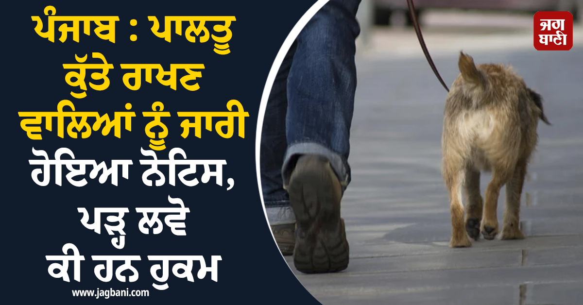 ਪੰਜਾਬ : ਪਾਲਤੂ ਕੁੱਤੇ ਰਾਖਣ ਵਾਲਿਆਂ ਨੂੰ ਜਾਰੀ ਹੋਇਆ ਨੋਟਿਸ, ਪੜ੍ਹ ਲਵੋ ਕੀ ਹਨ ਹੁਕਮ