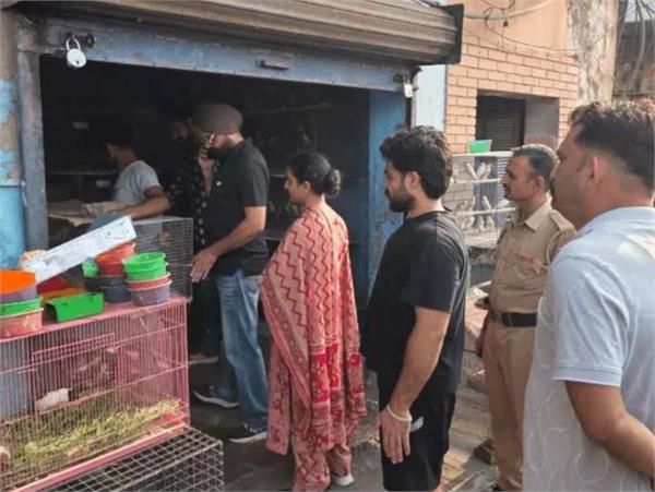 forest department raids pathankot