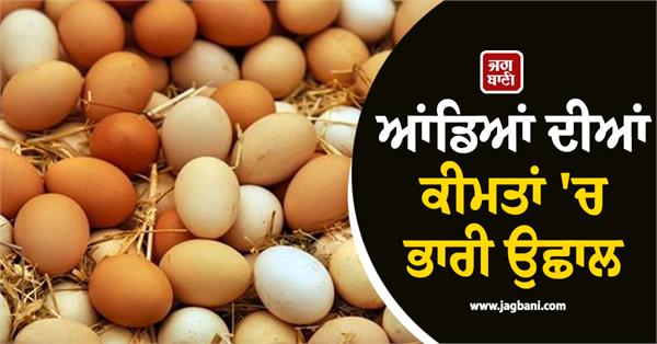 huge rise in the prices of eggs going to increase further 