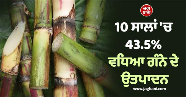 sugarcane production increased by 43 5 in 10 years 