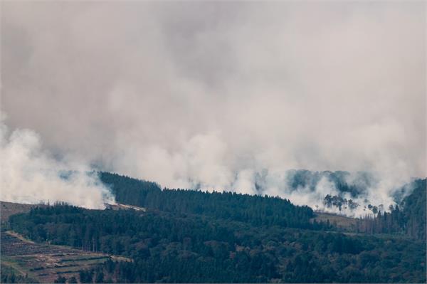 fire in largest natural reserve