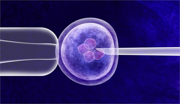 ivf fraud