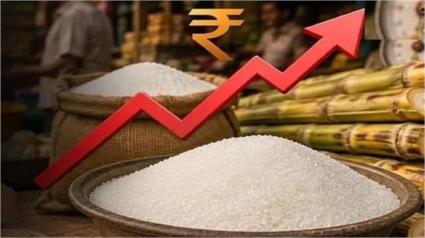 suger prices