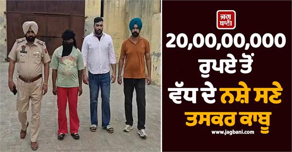 punjab police action