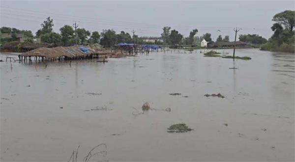 rain in gurdaspur creates trouble for farmers