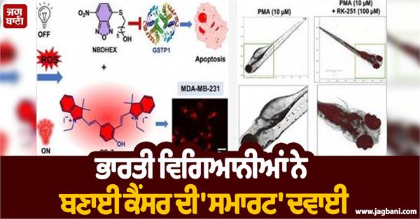 indian scientists  cancer  smart medicine  rk 251