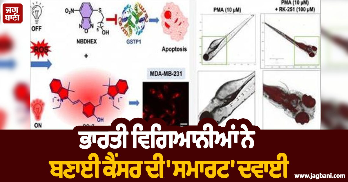ਭਾਰਤੀ ਵਿਗਿਆਨੀਆਂ ਨੇ ਬਣਾਈ ਕੈਂਸਰ ਦੀ ''ਸਮਾਰਟ'' ਦਵਾਈ