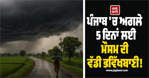 weather forecast for next 5 days in punjab rain alert on these dates