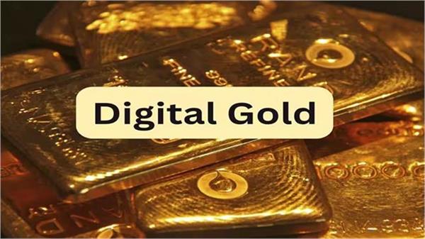 news for digital gold investors  govt may implement new rules