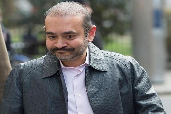 nirav modi  s former lawyer vijay agarwal arrested in london