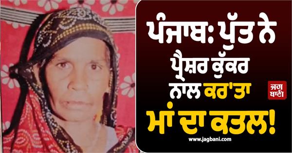 punjab mother son