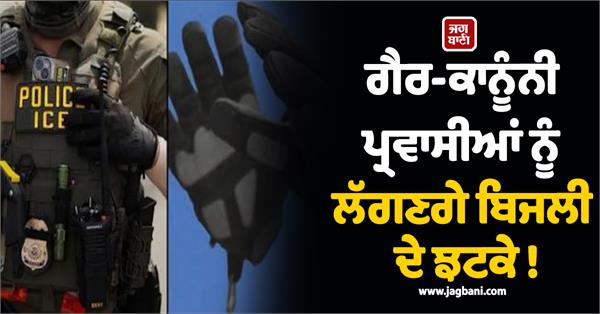 illegal immigrants will get electric shocks
