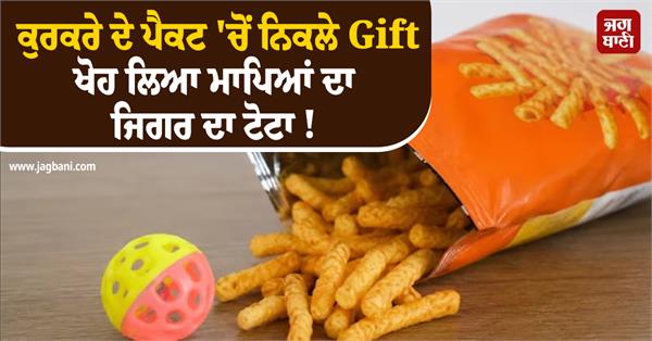 a gift from a packet of kurkare snatched a piece of liver