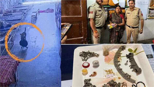 dog escaped with jewellery worth 4 lakh