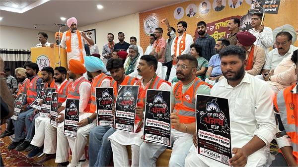 double standards of   aap   leaders have tarnished punjab  s image