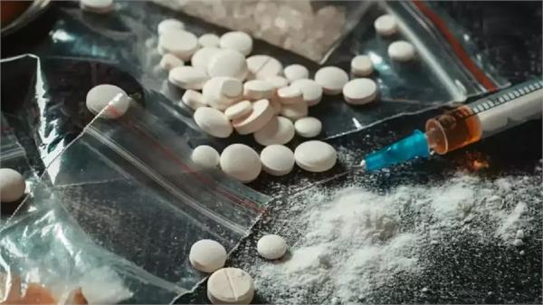 drug free punjab