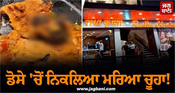 dosa eating rat customer vomiting hotel seal
