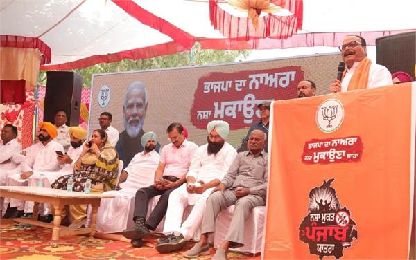 up  needed to save punjab  s youth from drugs  brajesh pathak