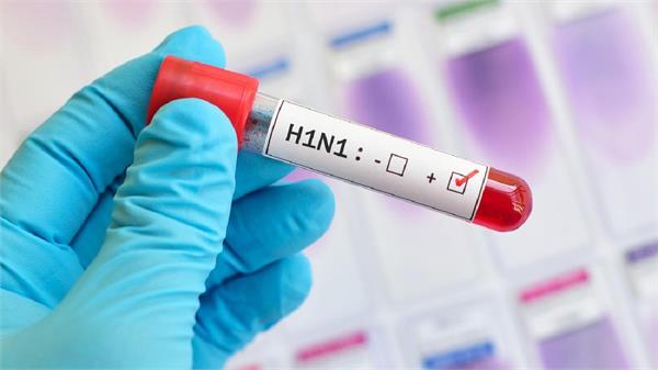 swine flu scare