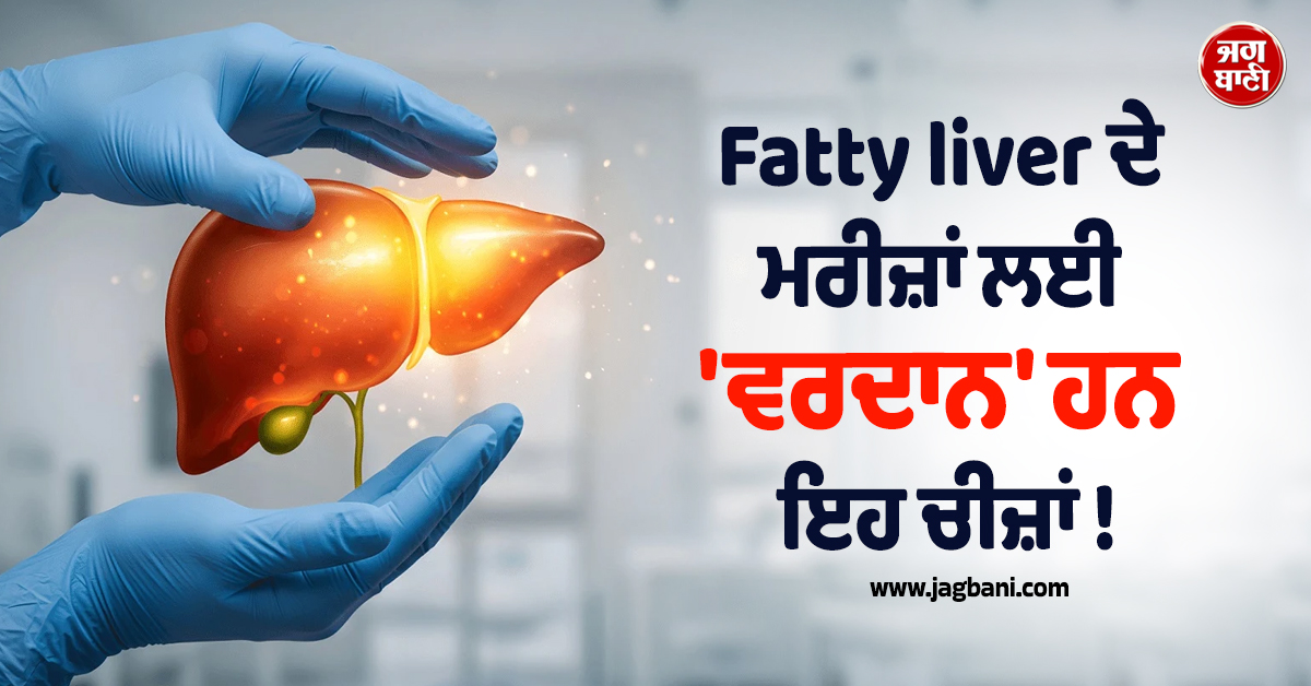 Fatty liver ਦੇ ਮਰੀਜ਼ਾਂ ਲਈ 'ਵਰਦਾਨ' ਹਨ ਇਹ ਚੀਜ਼ਾਂ ! ਜਾਣੋ ਇਸ ਦੇ ਫਾਇਦਿਆਂ ਬਾਰੇ