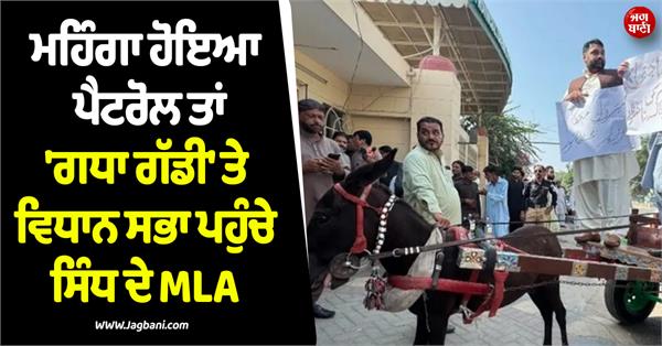 mlas on donkey cart