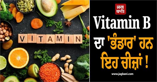 these items are rich sources of vitamin b 