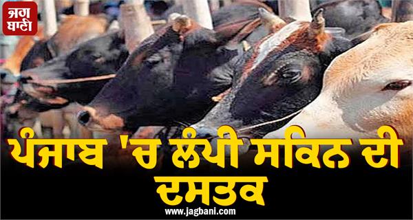 lumpy skin is a problem in punjab