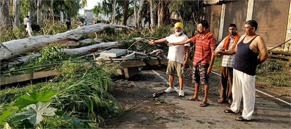 storm wreaks havoc in gurdaspur