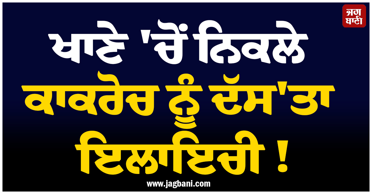 ਖਾਣੇ 'ਚੋਂ ਨਿਕਲੇ ਕਾਕਰੋਚ ਨੂੰ ਦੱਸ'ਤਾ ਇਲਾਇਚੀ ! ਕੀਤੀ ਸ਼ਿਕਾਇਤ ਤਾਂ ਰੈਸਟੋਰੈਂਟ ਮਾਲਕਾਂ ਨੇ ਕੁੱਟ'ਤਾ ਗਾਹਕ