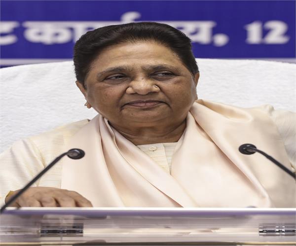 mayawati  akash anand  national convener  assembly elections