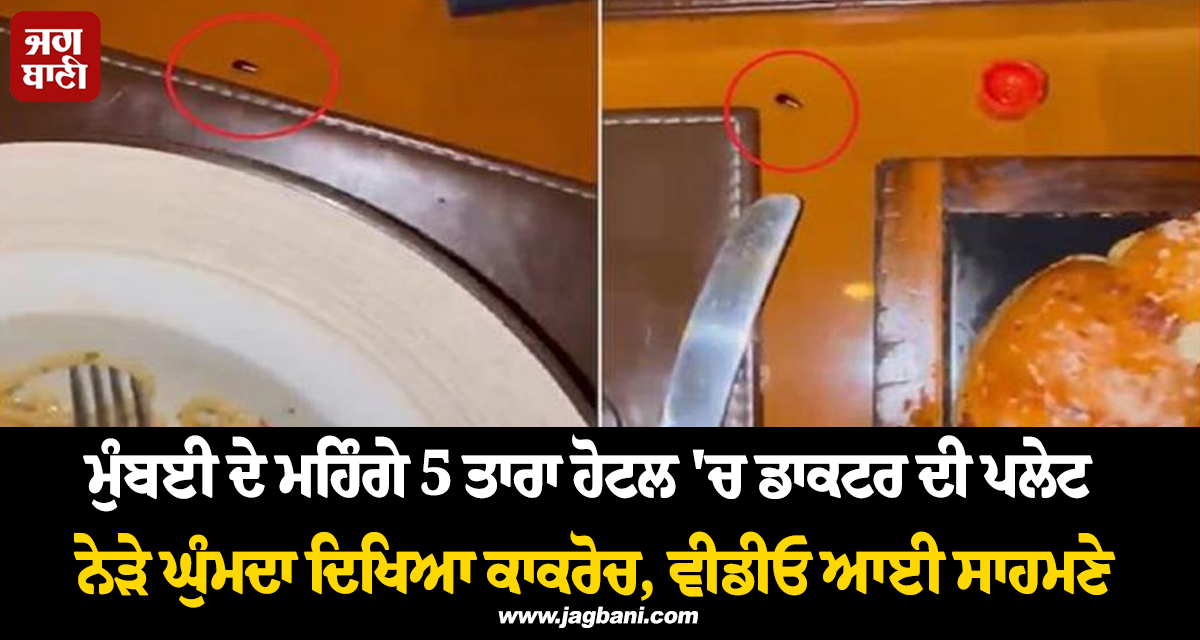 ਮੁੰਬਈ ਦੇ ਮਹਿੰਗੇ 5 ਤਾਰਾ ਹੋਟਲ 'ਚ ਡਾਕਟਰ ਦੀ ਪਲੇਟ ਨੇੜੇ ਘੁੰਮਦਾ ਦਿਖਿਆ ਕਾਕਰੋਚ, ਵੀਡੀਓ ਆਈ ਸਾਹਮਣੇ