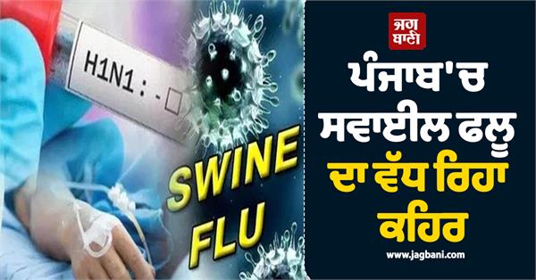swine flu is spreading in punjab