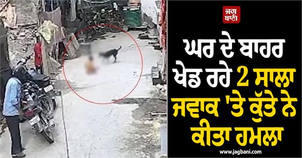 home  dog  attack  injured  child