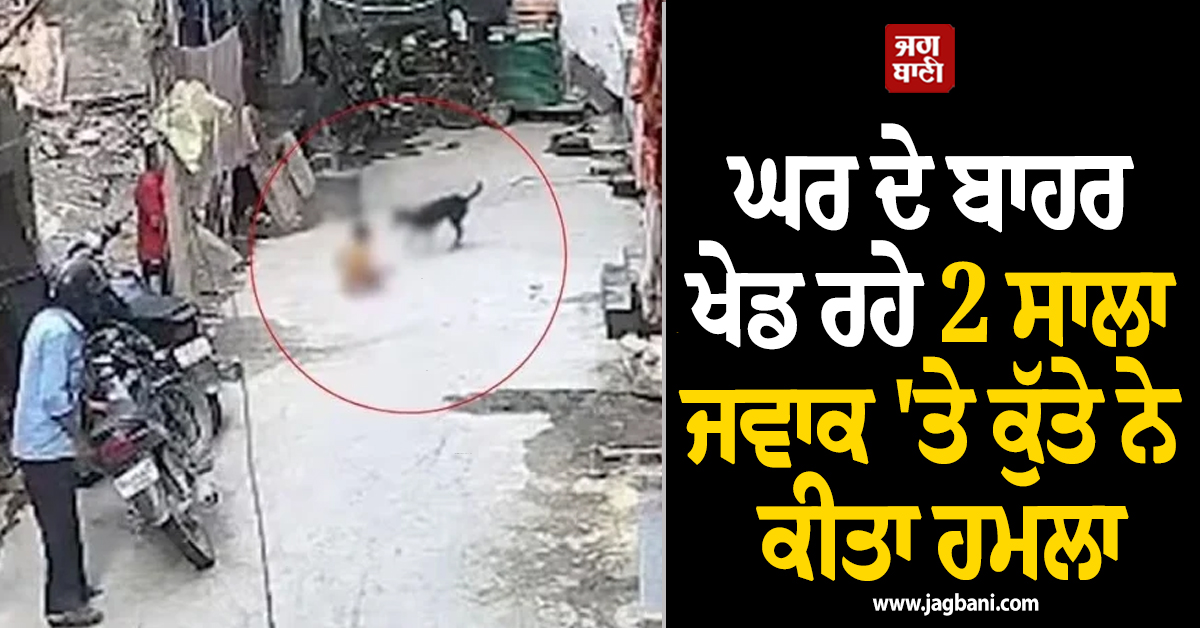 ਘਰ ਦੇ ਬਾਹਰ ਖੇਡ ਰਹੇ 2 ਸਾਲਾ ਜਵਾਕ ''ਤੇ ਕੁੱਤੇ ਨੇ ਕੀਤਾ ਹਮਲਾ, ਹੋਇਆ ਗੰਭੀਰ ਜ਼ਖ਼ਮੀ
