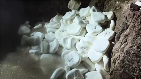paneer destroyed  rajasthan  mathura  sale  report