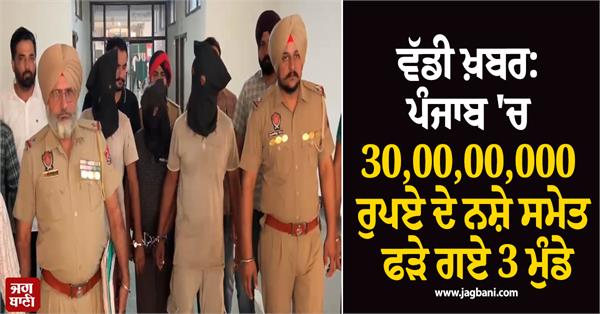 punjab police action