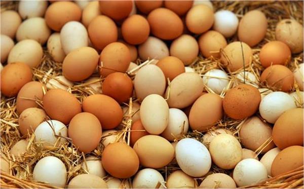 reduced purchase due to expensive eggs  concerned about adulteration