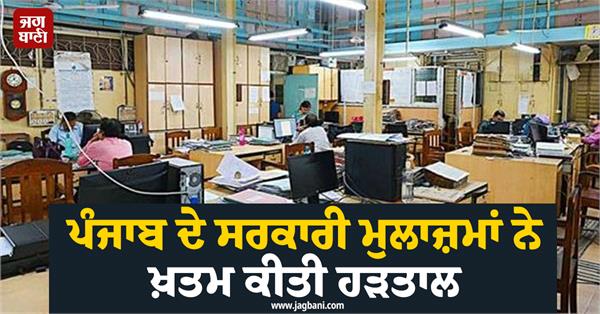 government employees punjab government