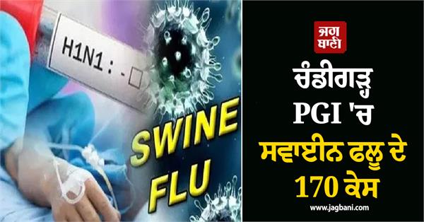 swine flu cases