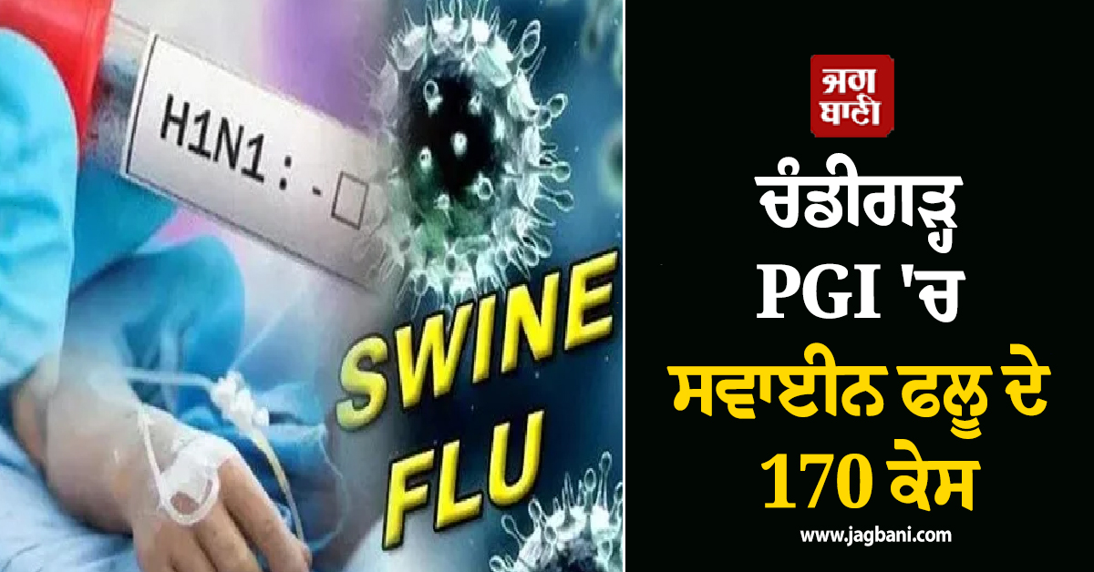 ਚੰਡੀਗੜ੍ਹ PGI 'ਚ ਸਵਾਈਨ ਫਲੂ ਦੇ 170 ਕੇਸ, ਸਭ ਤੋਂ ਵੱਧ 68 ਕੇਸ ਪੰਜਾਬ ਤੋਂ, ਸਾਵਧਾਨ ਰਹਿਣ ਦੀ ਲੋੜ