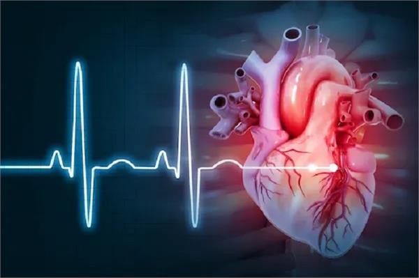 chennai has become a boon for heart patients 