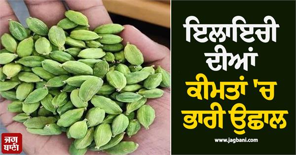 cardamom prices surge prices will increase further
