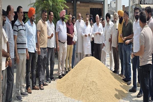 basmati arrival begins at machhiwara grain market
