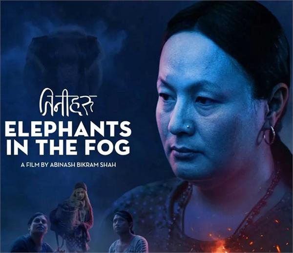 elephants in the fog   selected as nepal  s official entry for the oscars