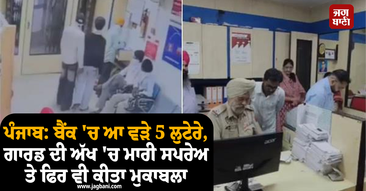 ਪੰਜਾਬ: ਬੈਂਕ 'ਚ ਆ ਵੜੇ 5 ਲੁਟੇਰੇ, ਗਾਰਡ ਦੀ ਅੱਖ 'ਚ ਮਾਰੀ ਸਪਰੇਅ ਤੇ ਫਿਰ ਵੀ ਕੀਤਾ ਮੁਕਾਬਲਾ