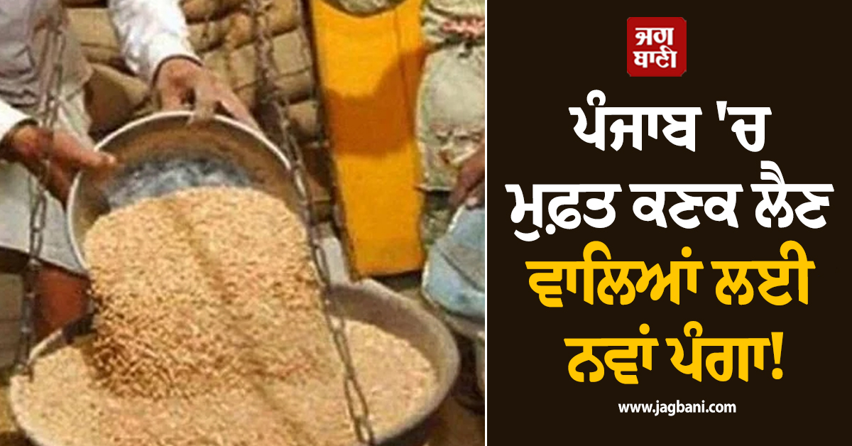 ਪੰਜਾਬ 'ਚ ਮੁਫ਼ਤ ਕਣਕ ਲੈਣ ਵਾਲਿਆਂ ਲਈ ਨਵਾਂ ਪੰਗਾ! ਡਿਪੂ ਹੋਲਡਰ ਵੀ ਪਰੇਸ਼ਾਨ, ਪੜ੍ਹੋ ਕਿਉਂ