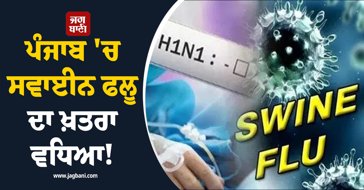 ਪੰਜਾਬ 'ਚ ਸਵਾਈਨ ਫਲੂ ਦਾ ਖ਼ਤਰਾ ਵਧਿਆ! ਲੁਧਿਆਣਾ 'ਚ ਸਭ ਤੋਂ ਵੱਧ ਮਰੀਜ਼, ਪੜ੍ਹੋ ਆਪਣੇ ਜ਼ਿਲ੍ਹੇ ਦੀ ਰਿਪੋਰਟ