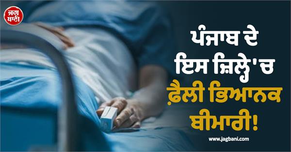 increase in dengue patients in hoshiarpur district 2 cases of chikungunya