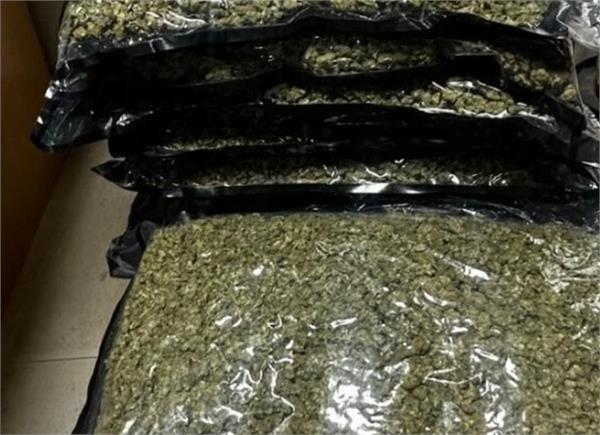 delhi airport  myanmar  citizen  cannabis seized