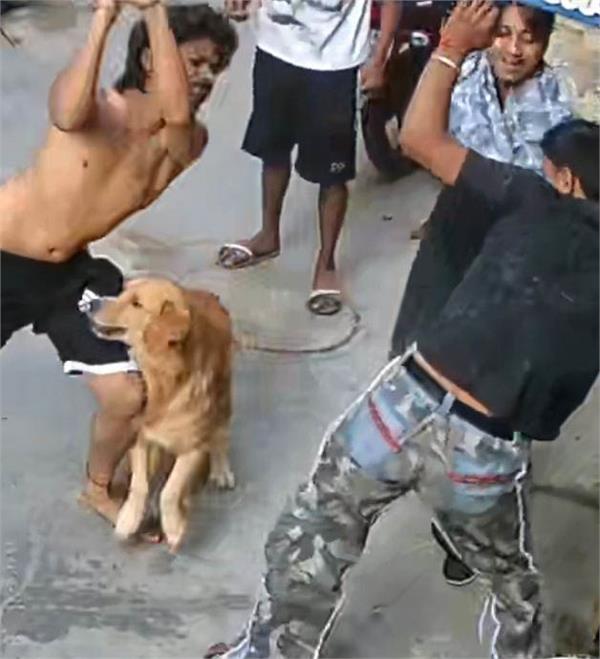 clash in jalandhar  boy attacked with kirpans